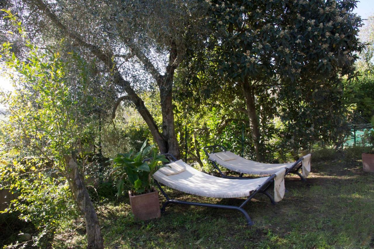 Casale San Pietro Bed & Breakfast Otricoli Luaran gambar