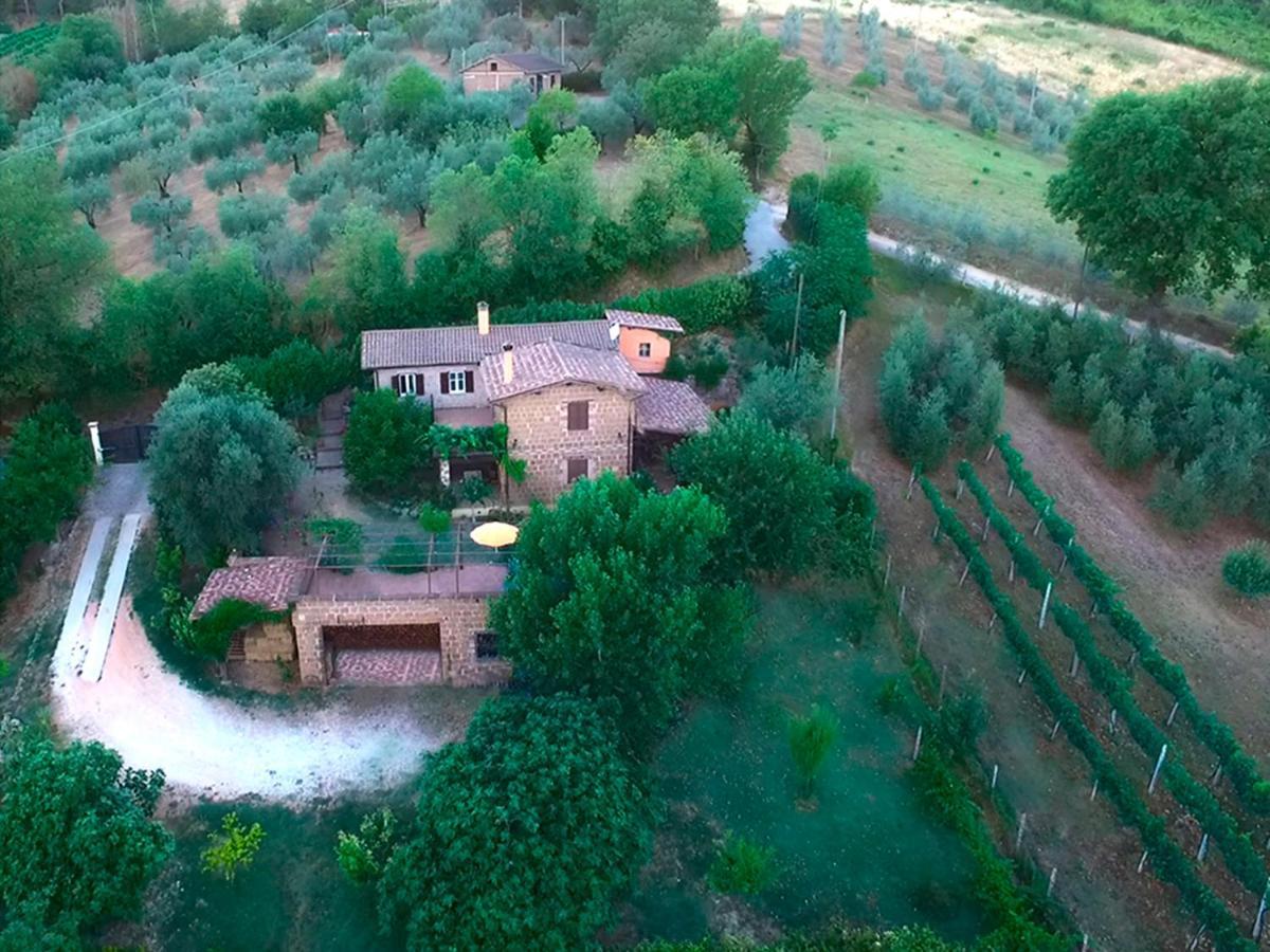 Casale San Pietro Bed & Breakfast Otricoli Luaran gambar