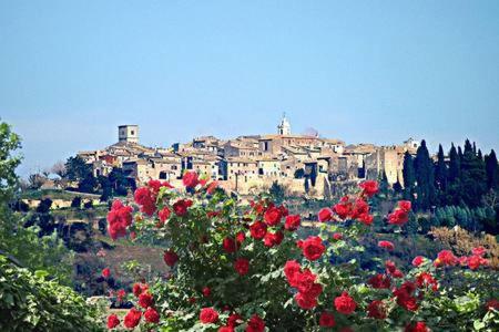 Casale San Pietro Bed & Breakfast Otricoli Luaran gambar