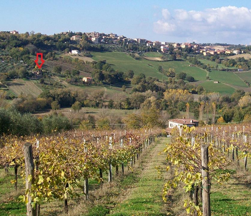Casale San Pietro Bed & Breakfast Otricoli Luaran gambar